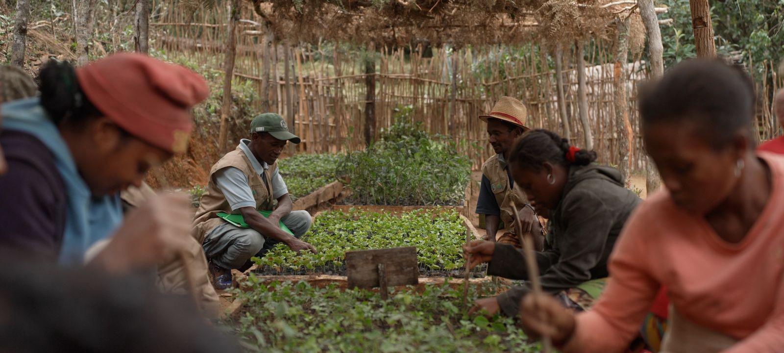 Climate investment to boost agricultural value chain in Madagascar